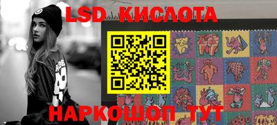 гашик Донской