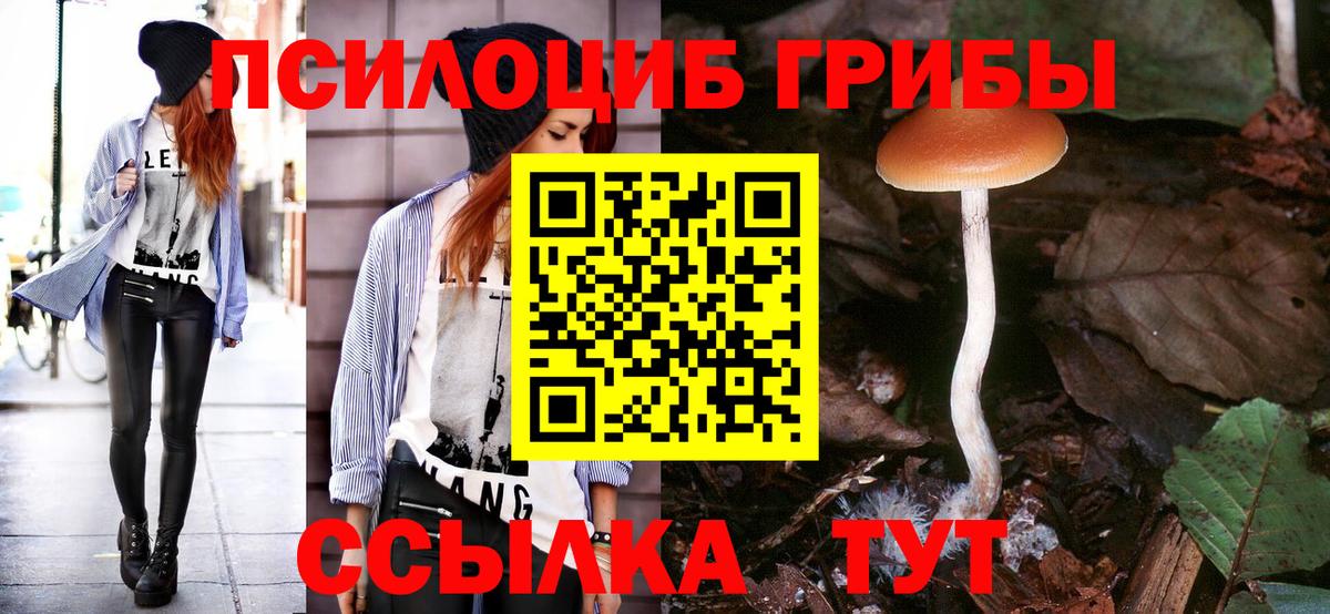 Галлюциногенные грибы MAGIC MUSHROOMS Кыштым
