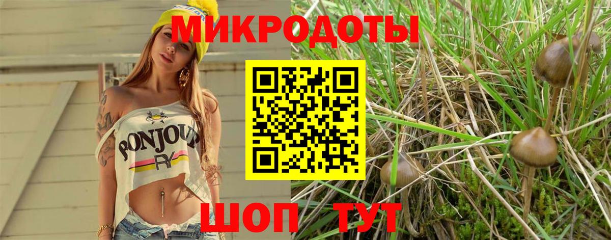 Кыштым  Псилоцибиновые грибы прущие грибы  Вход с VPN 